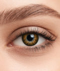 luxe_brown_eye_02-1